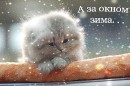 Фотография Сотниковой Зинаиды