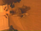 Фотография Blackchild Павла