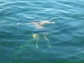 Олег Бойківський фотография #3 (источник - https://vk.com/id11213569)