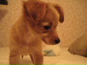 Фотография Кузьминой Алёны