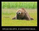 Марія Абрамова фотография #33 (источник - https://vk.com/id123819102)