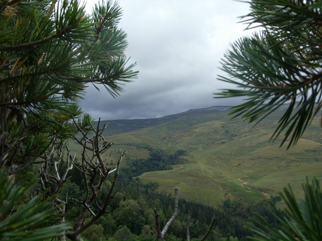 Алена Морева фотография #28