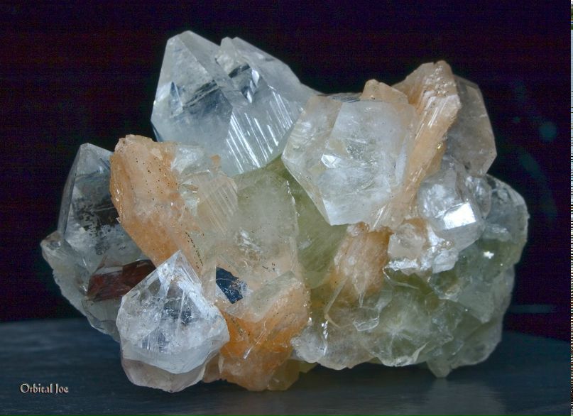 Лев Августский фотография #19