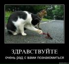 Яна Кушнір фотография #45 (источник - https://vk.com/id151356250)