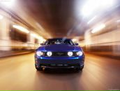 Фотография Гаврилова Александра