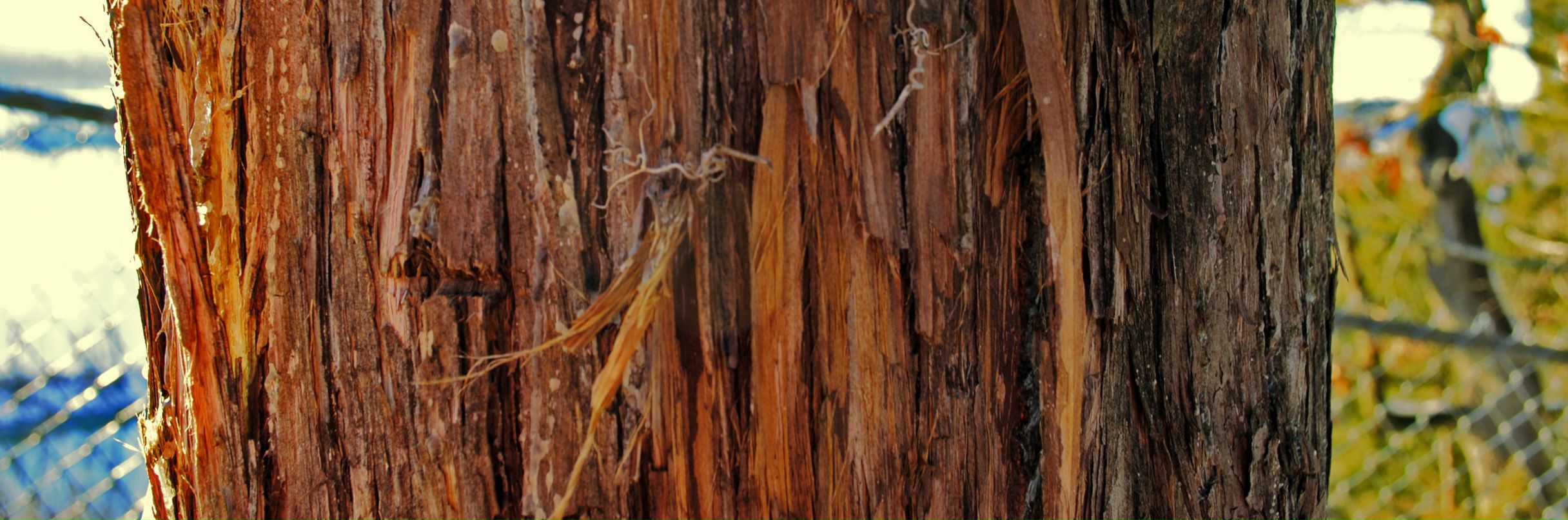 Иван Бобров фотография #47