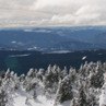 Діма Чорний фотография #4 (источник - https://vk.com/id160712924)