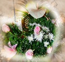 Діана Сов'як фотография #40 (источник - https://vk.com/id152920858)