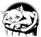 Фотография Kirara Ue