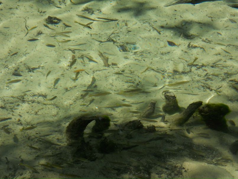 Катя Трофимова фотография #40