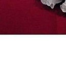 Іра Сакундяк фотография #31 (источник - https://vk.com/id35307343)