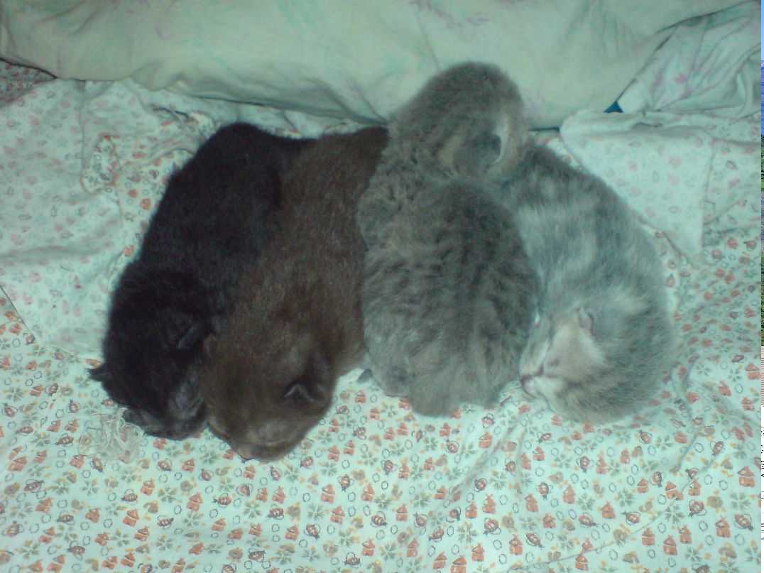 Дмитрий Ивлев фотография #22