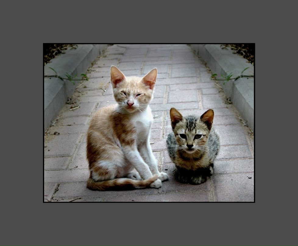 Mark Maisner фотография #48