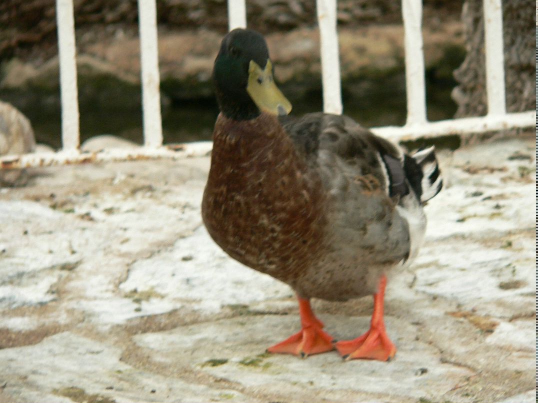 Сергей Маслов фотография #4