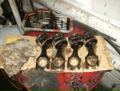 Фотография Моисеенко Павла