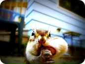 Максім Вовчок фотография #22 (источник - https://vk.com/id159026121)