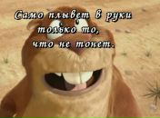 Фотография Кривакова Антона