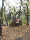 Катя Скібчик фотография #18 (источник - https://vk.com/id65953414)
