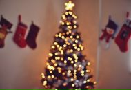 Фотография Беляевой Катерины