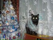 Фотография Сперова Михаила