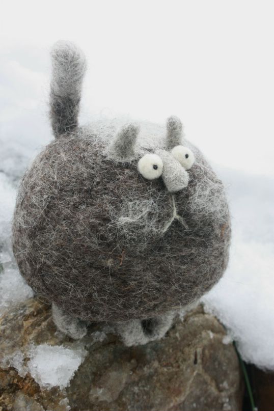 Ло Ло фотография #15