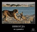 Назарій Федик фотография #50 (источник - https://vk.com/id19183874)