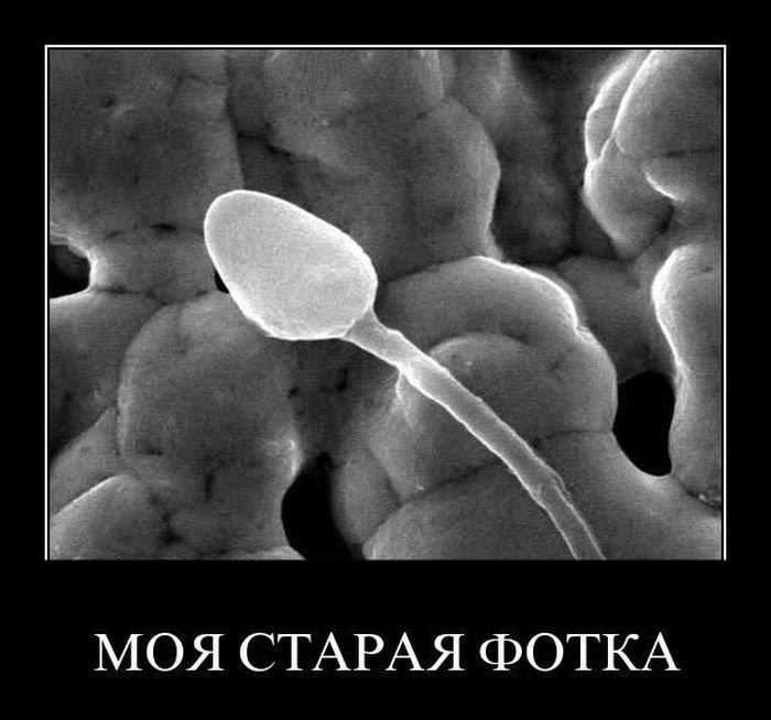 Слава Егоров фотография #9