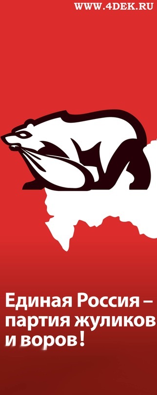 Дмитрий Минкевич фотография #38