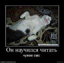 Ростік Косарук фотография #7 (источник - https://vk.com/id133073707)