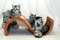 Фотография Беловой Лизаветы