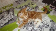 Фотография Вассель Натальи