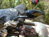 Андрій Даткун фотография #6 (источник - https://vk.com/id9703110)