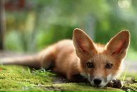 Фотография Агаповой Марины