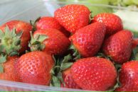 Фотография Емяковой Юлии