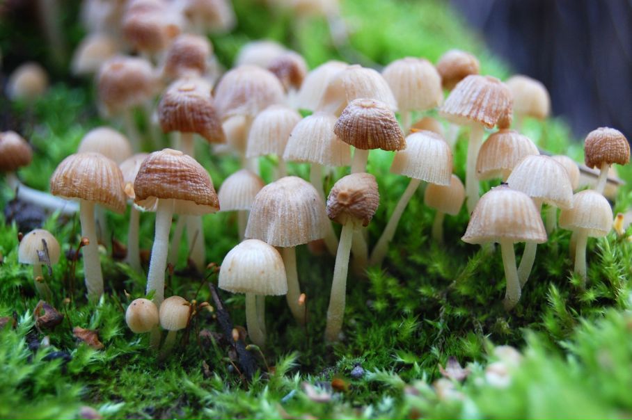 Михаил Яковлев фото №12