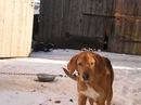Зеновій Височанський фотография #38 (источник - https://vk.com/id138173678)