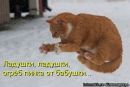 Міша Минюк фотография #23 (источник - https://vk.com/id133076593)