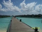 Олександр Лакімен фотография #28 (источник - https://vk.com/id6137813)