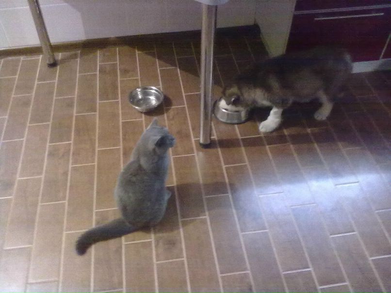 Александр Автаев фотография #1