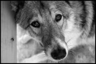 Фотография Воронина Кирилла