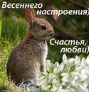 Марія Рудик фотография #31 (источник - https://vk.com/id155416483)