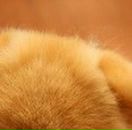 Разбитое Сердце фотография #8 (источник - https://vk.com/id611602)