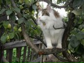 Фотография Новосельцевой Светланы