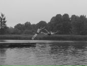 Фотография Новик Наталия