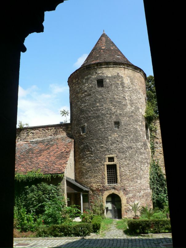 Иван Гор фотография #43