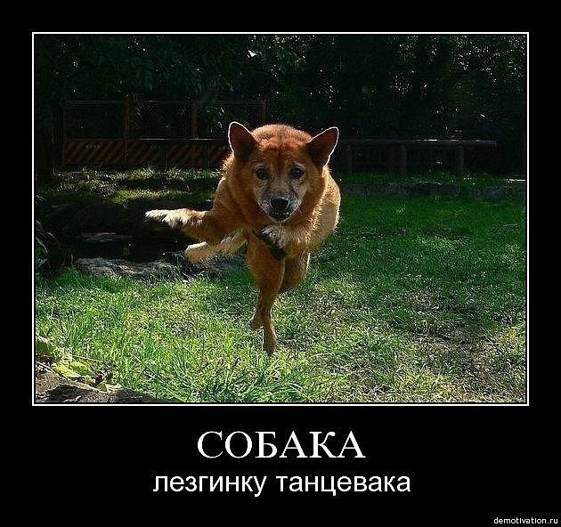 Женя Петрова фотография #4