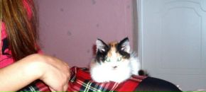 Фотография Арслановой Эльвины