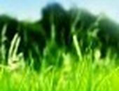 Вероніка Федишин фотография #7 (источник - https://vk.com/id45959990)