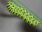 Фотография Фролова Николая