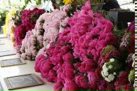 Фотография Шумеевой Евгении